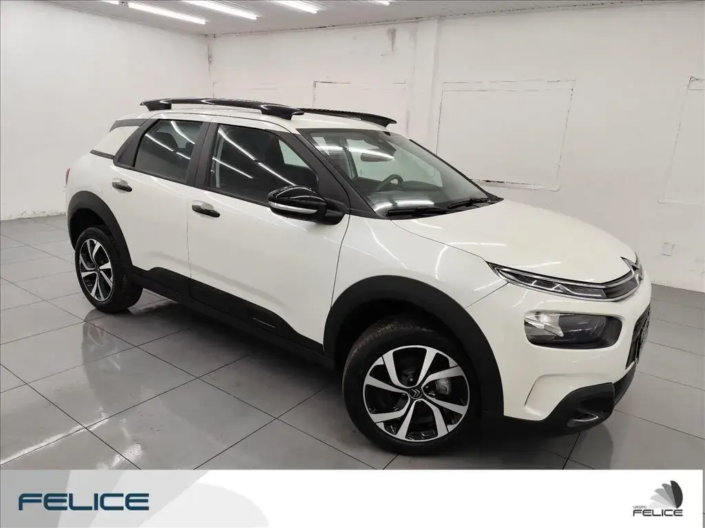 galeria C4 CACTUS