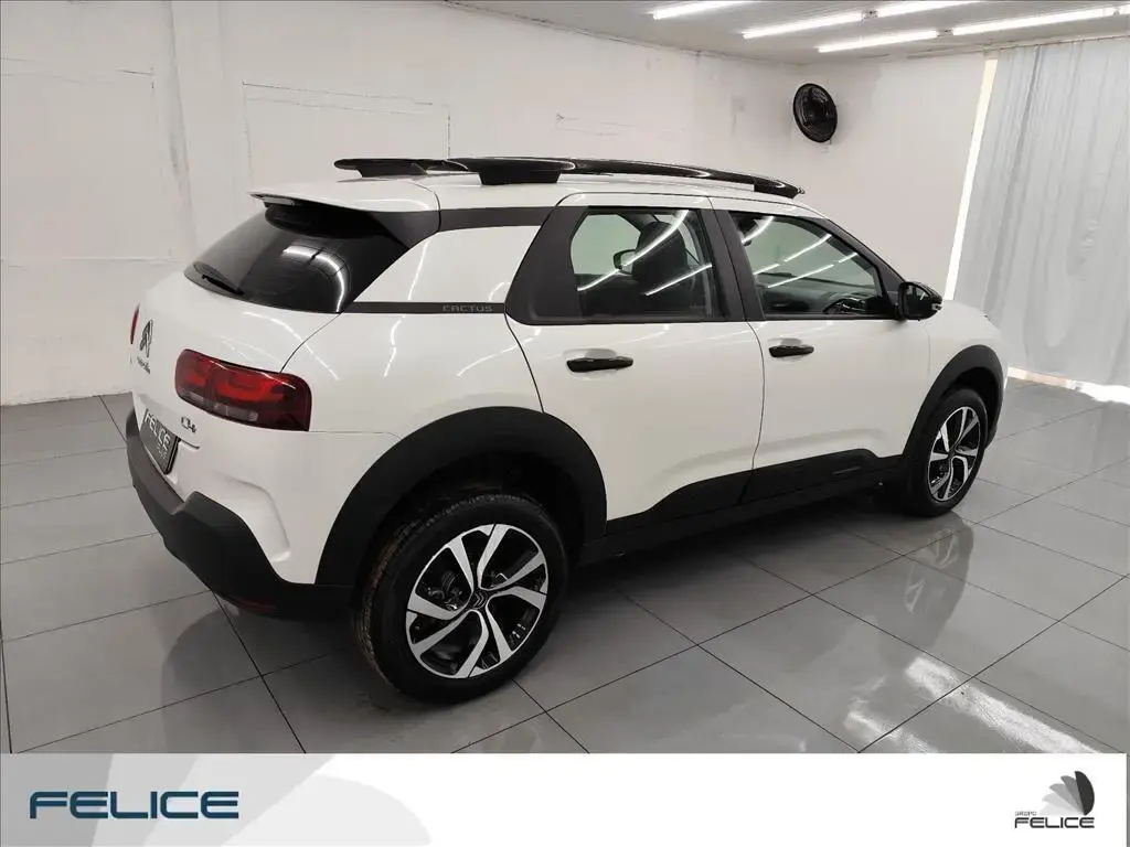 galeria C4 CACTUS