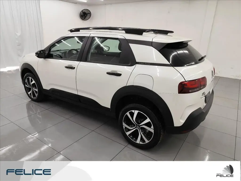 galeria C4 CACTUS