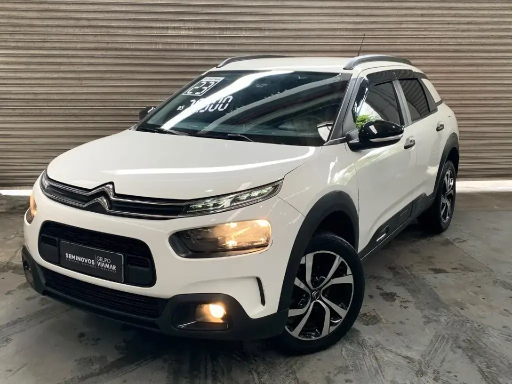 galeria C4 CACTUS