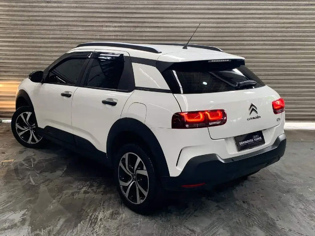 galeria C4 CACTUS