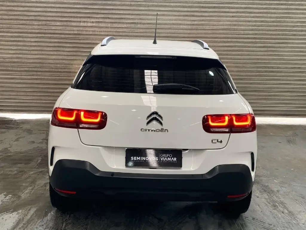 galeria C4 CACTUS