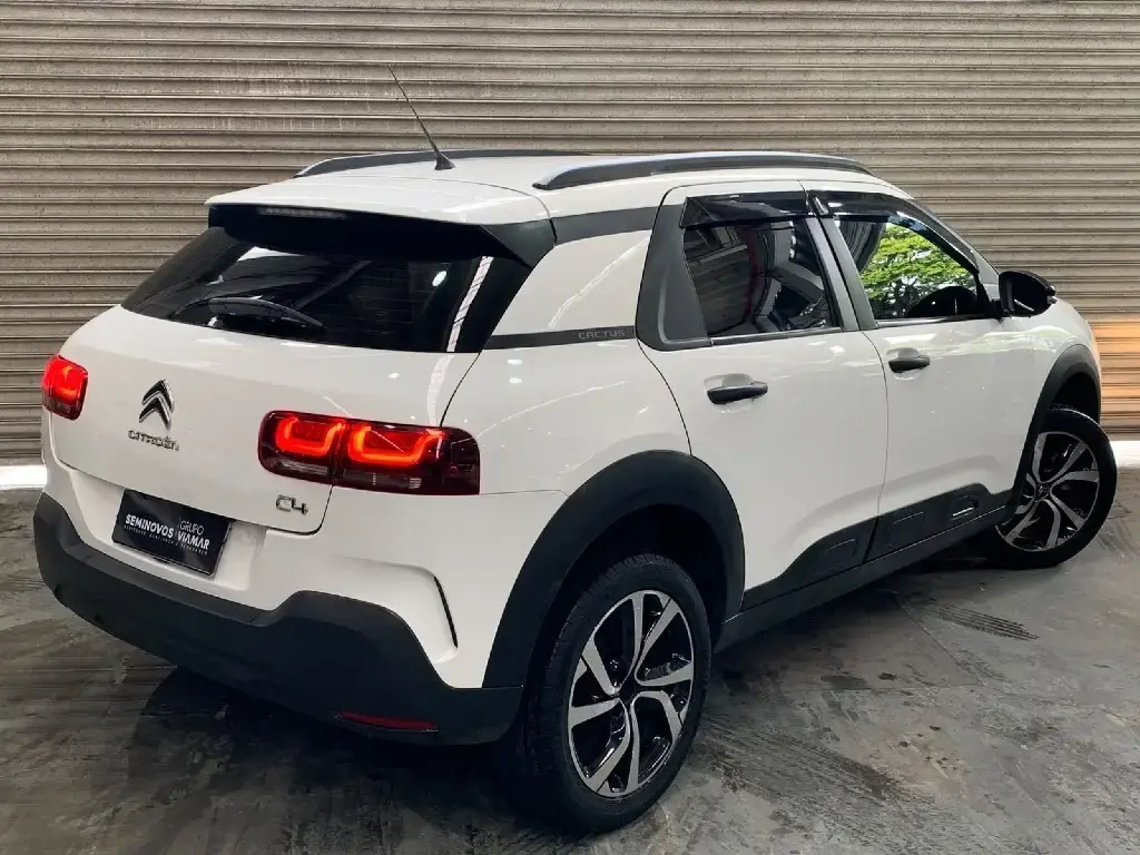 galeria C4 CACTUS