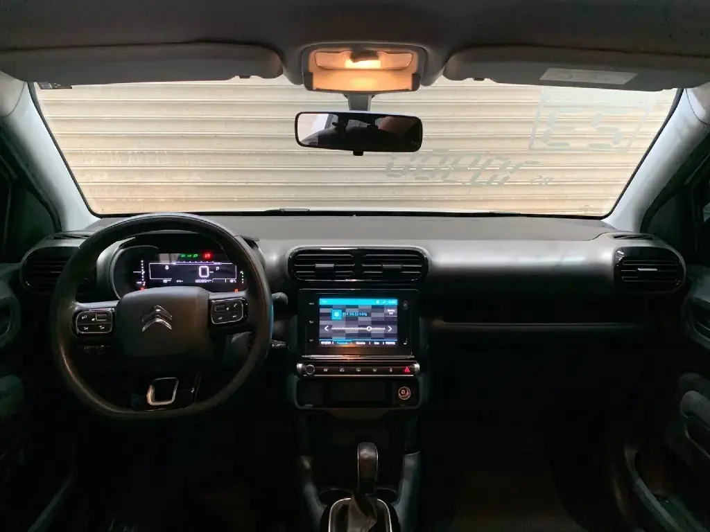 galeria C4 CACTUS