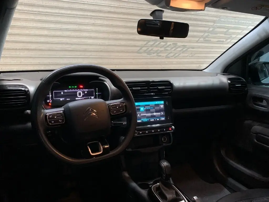 galeria C4 CACTUS