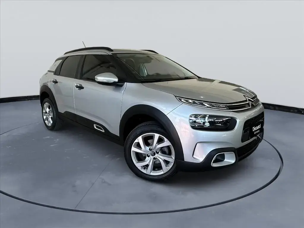 galeria C4 CACTUS