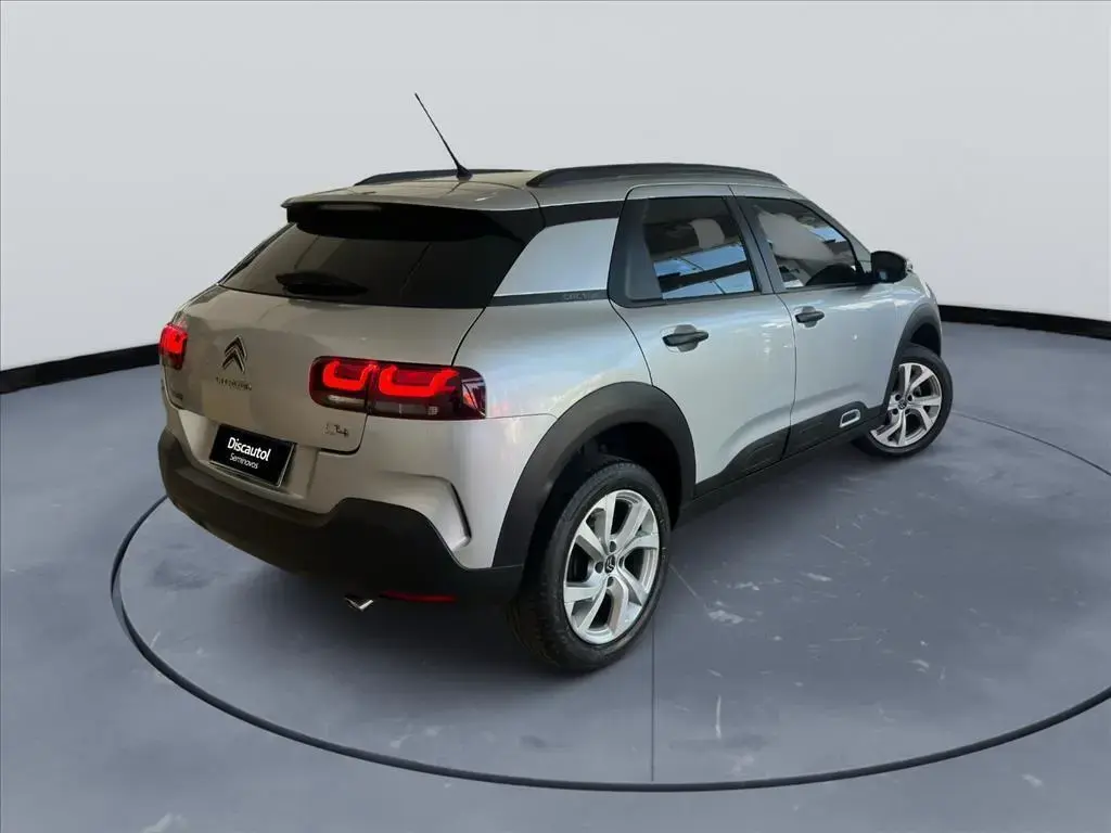 galeria C4 CACTUS