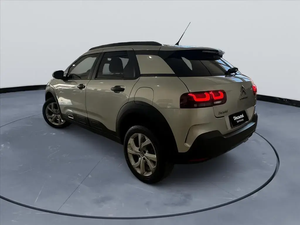 galeria C4 CACTUS