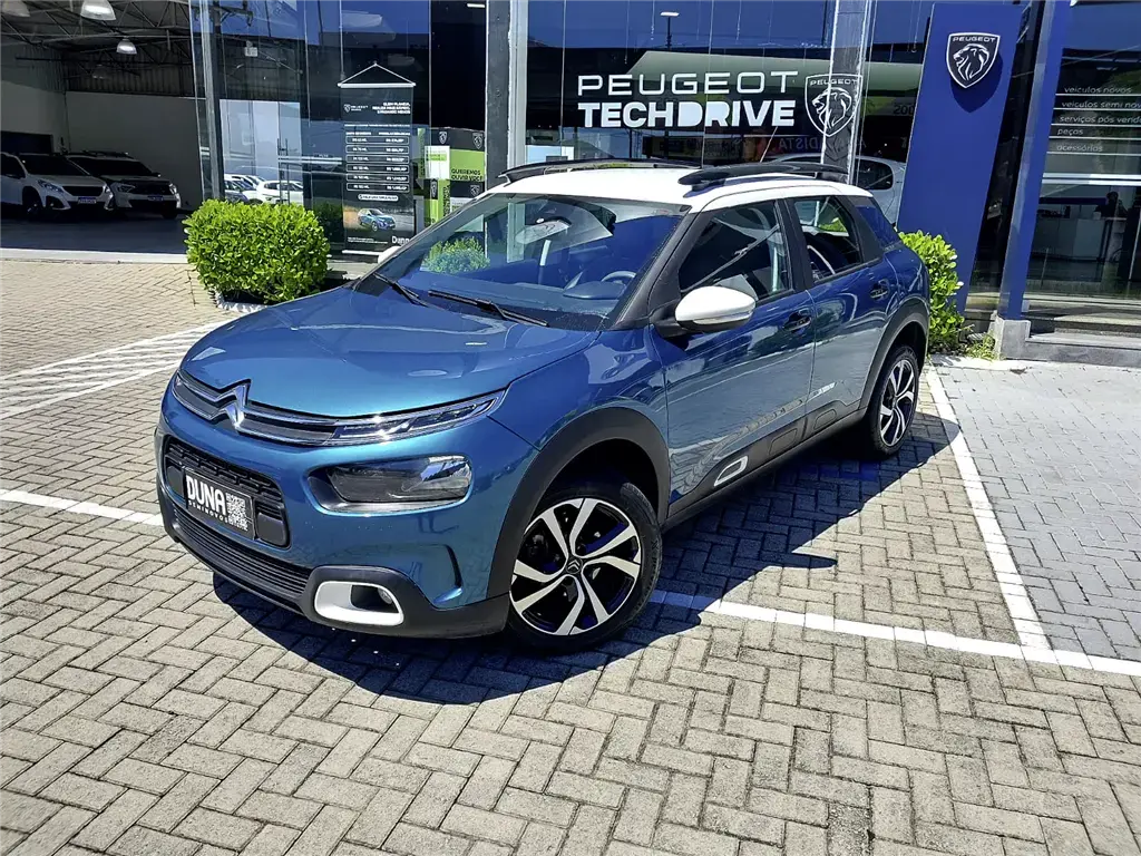 galeria C4 CACTUS