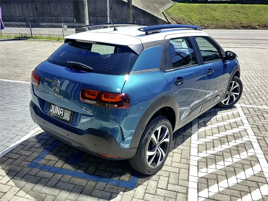galeria C4 CACTUS