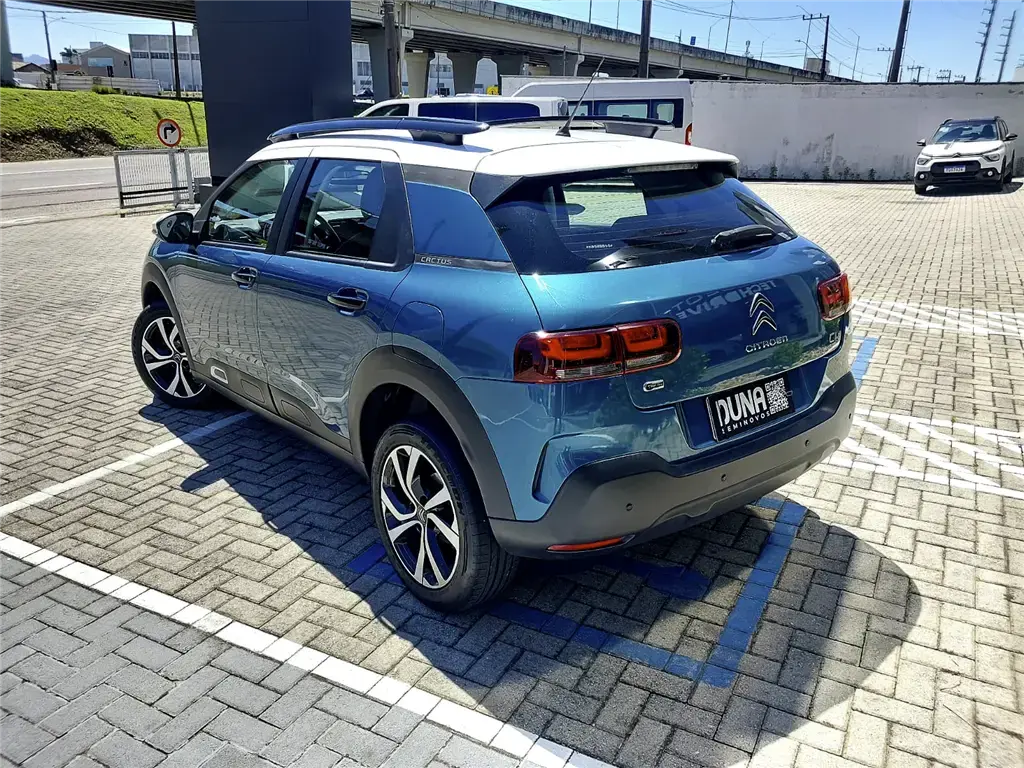galeria C4 CACTUS