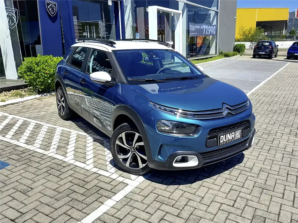 galeria C4 CACTUS