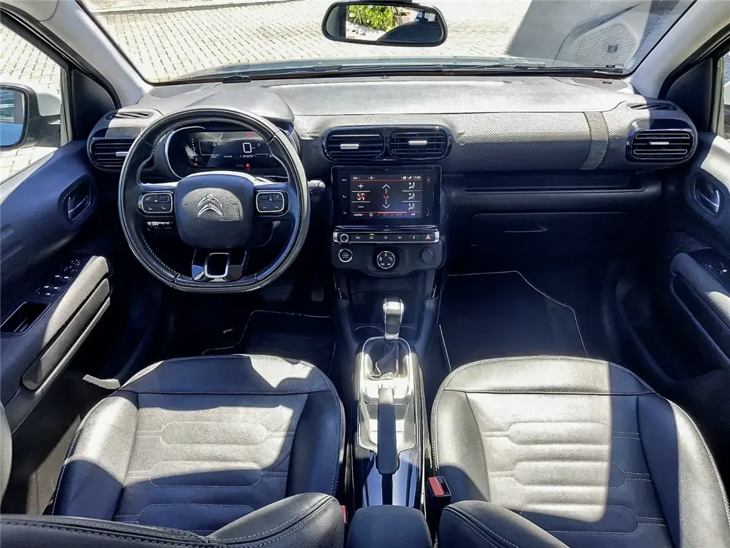 galeria C4 CACTUS