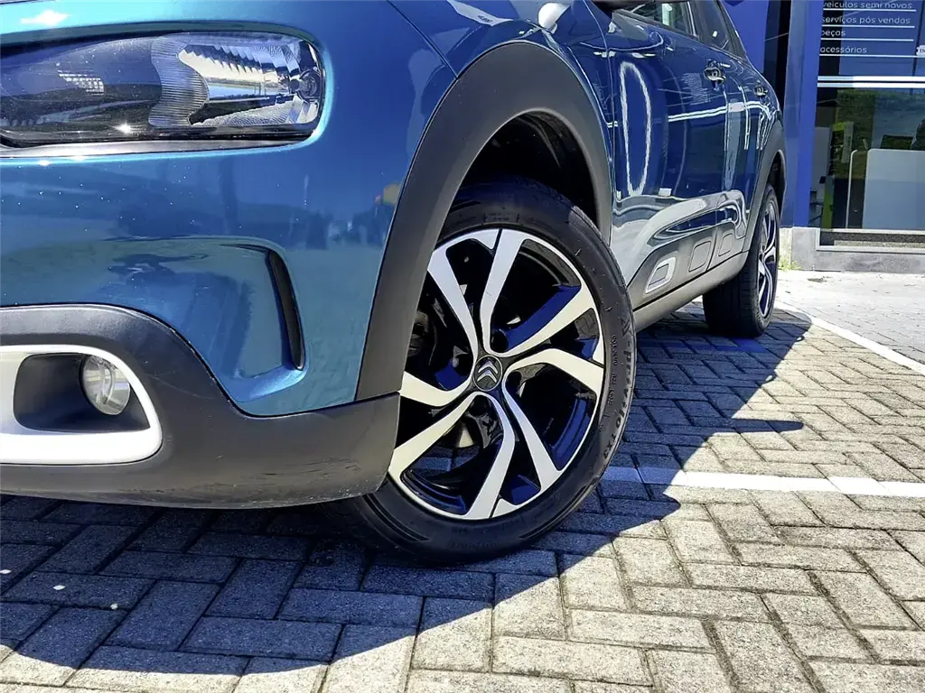 galeria C4 CACTUS