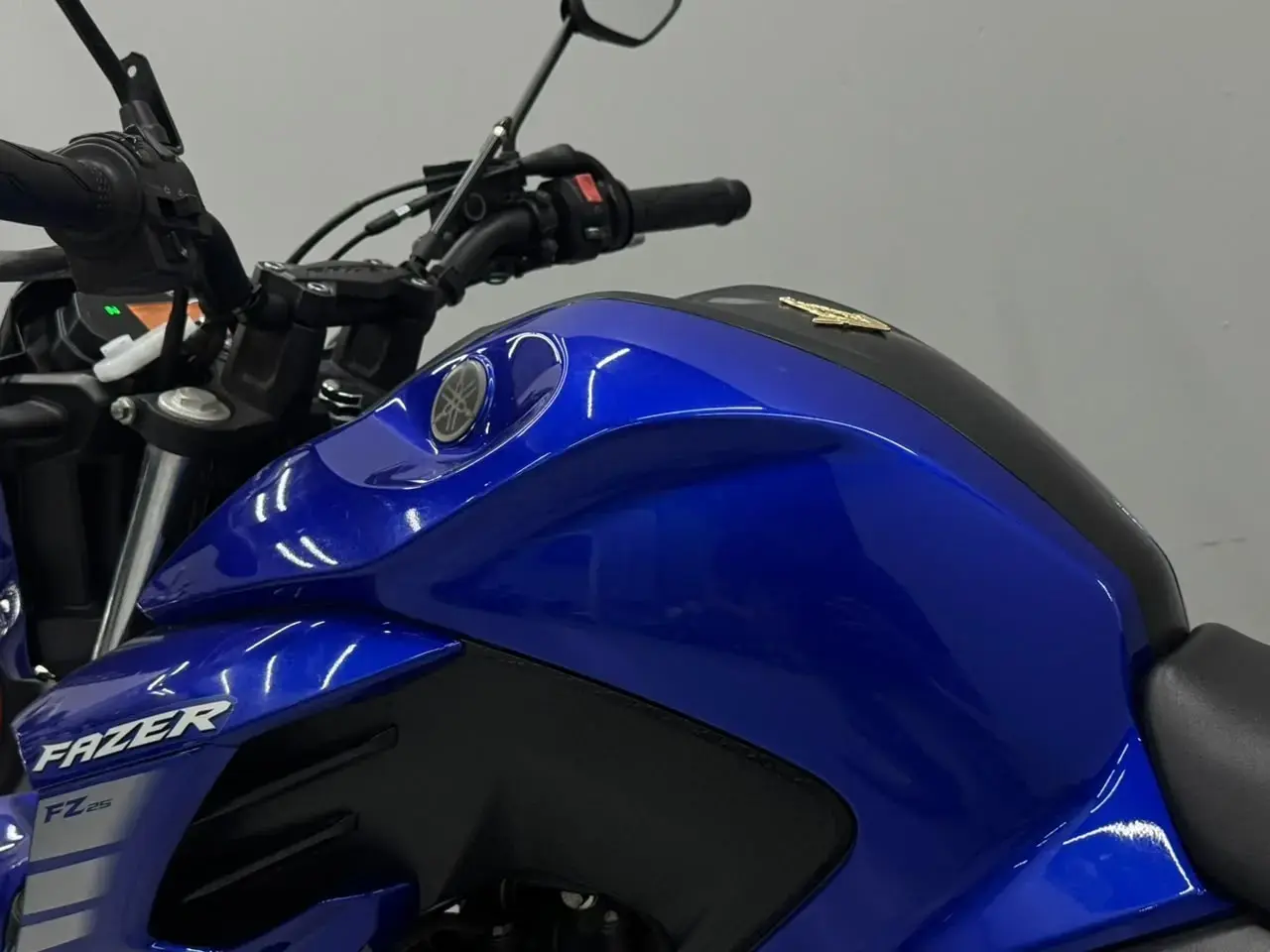 galeria FZ25 250 FAZER FLEX