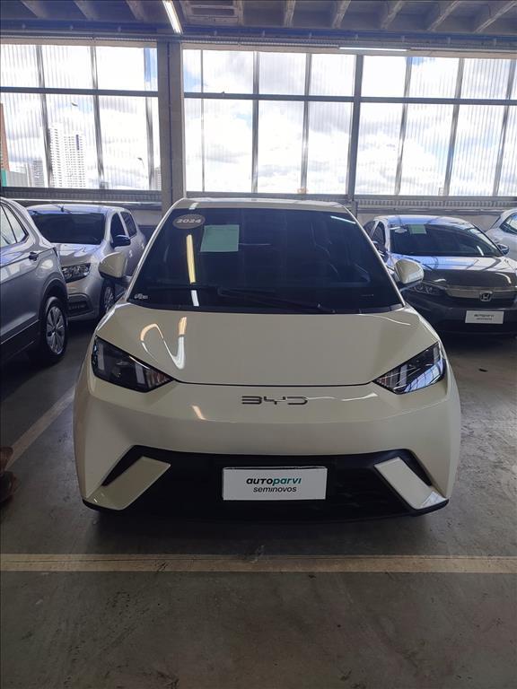 Byd DOLPHIN MINI