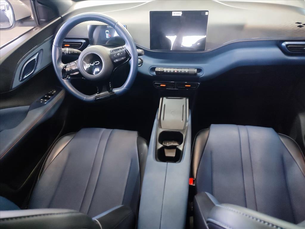 Byd DOLPHIN MINI
