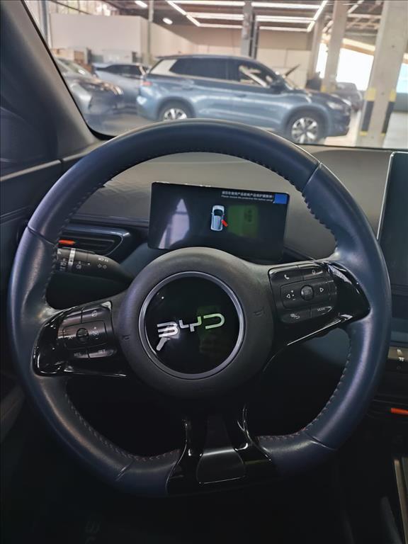 Byd DOLPHIN MINI