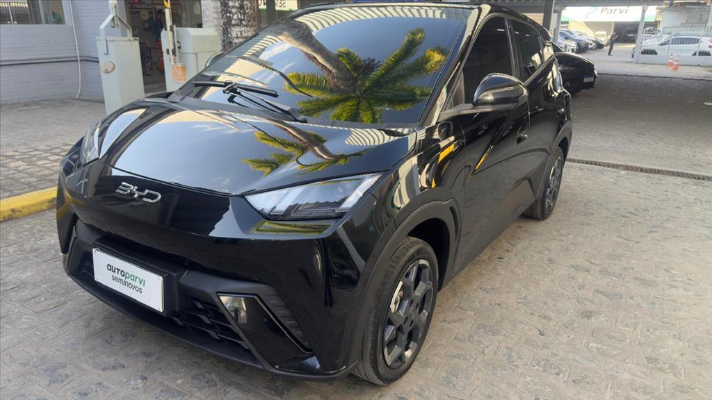 Byd DOLPHIN MINI