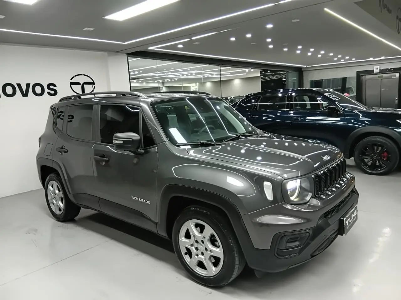 galeria RENEGADE