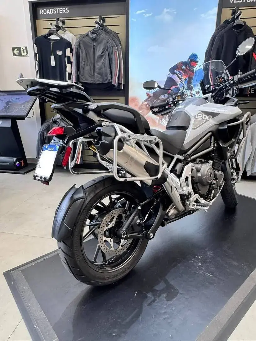 galeria Tiger 1200