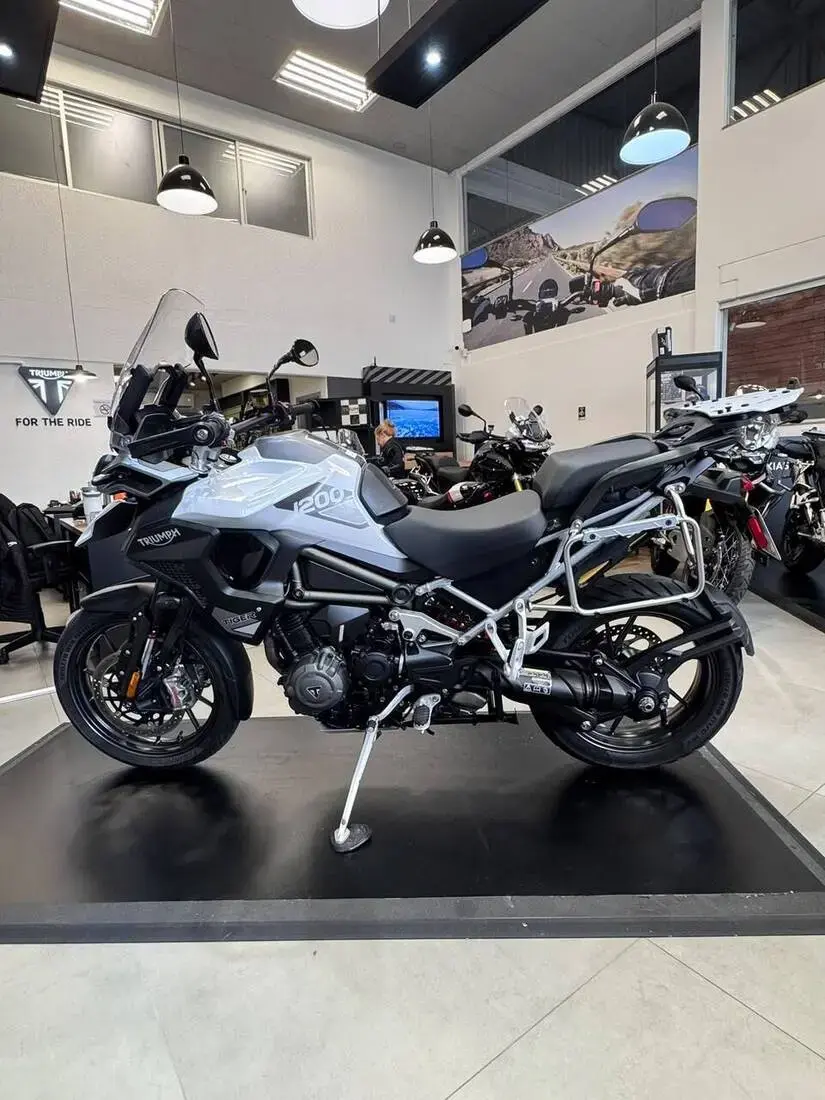 galeria Tiger 1200