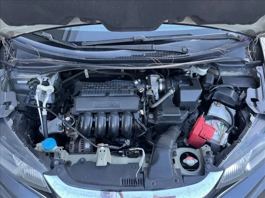 galeria FIT
