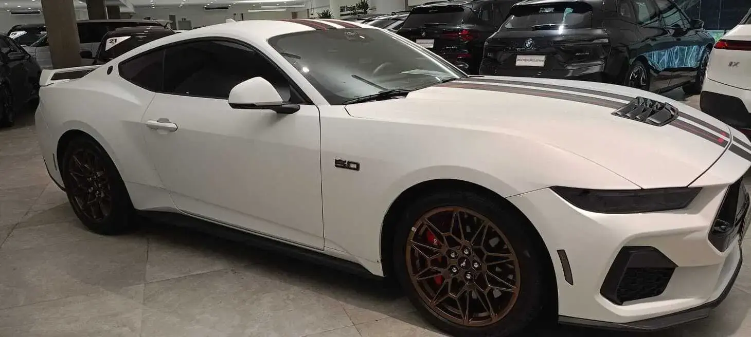 galeria Mustang