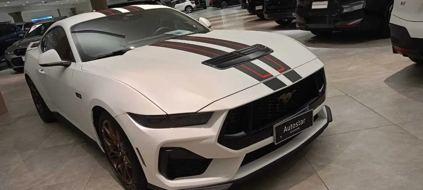 galeria Mustang