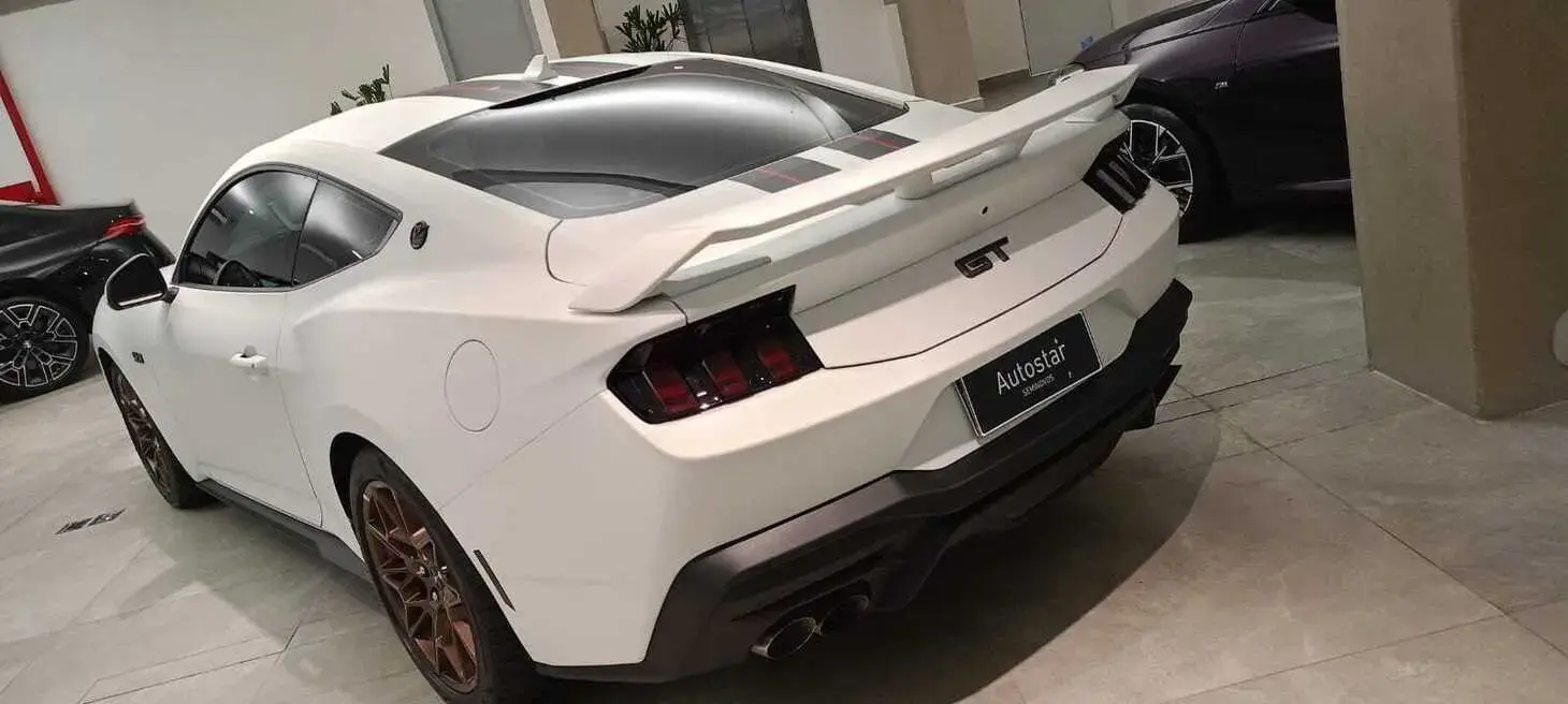 galeria Mustang