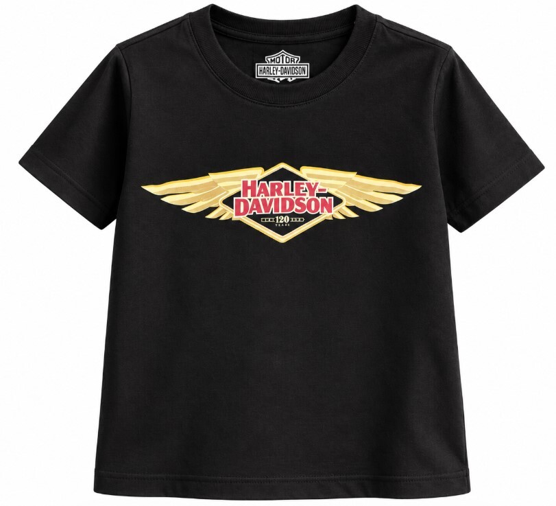 galeria CAMISETA INFANTIL NACIONAL 120TH ANNIVERSARY H-D