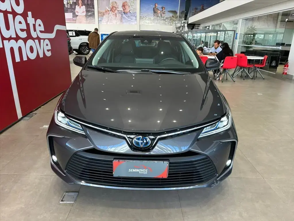 galeria COROLLA