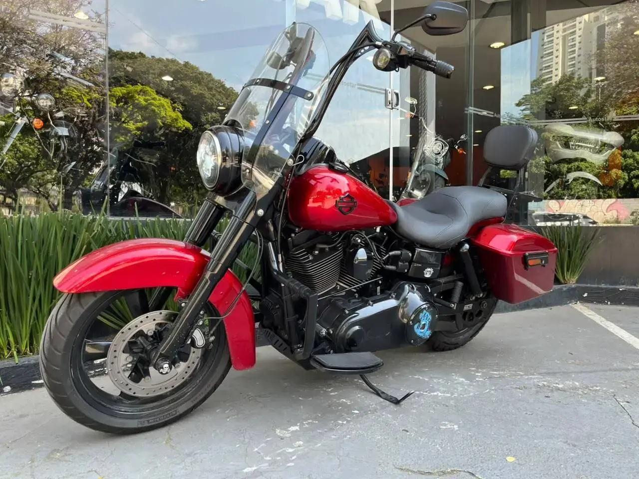 galeria Dyna