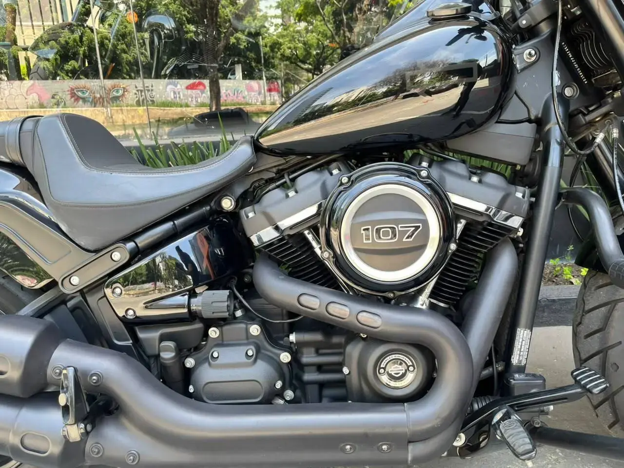 galeria FAT BOB FXFB
