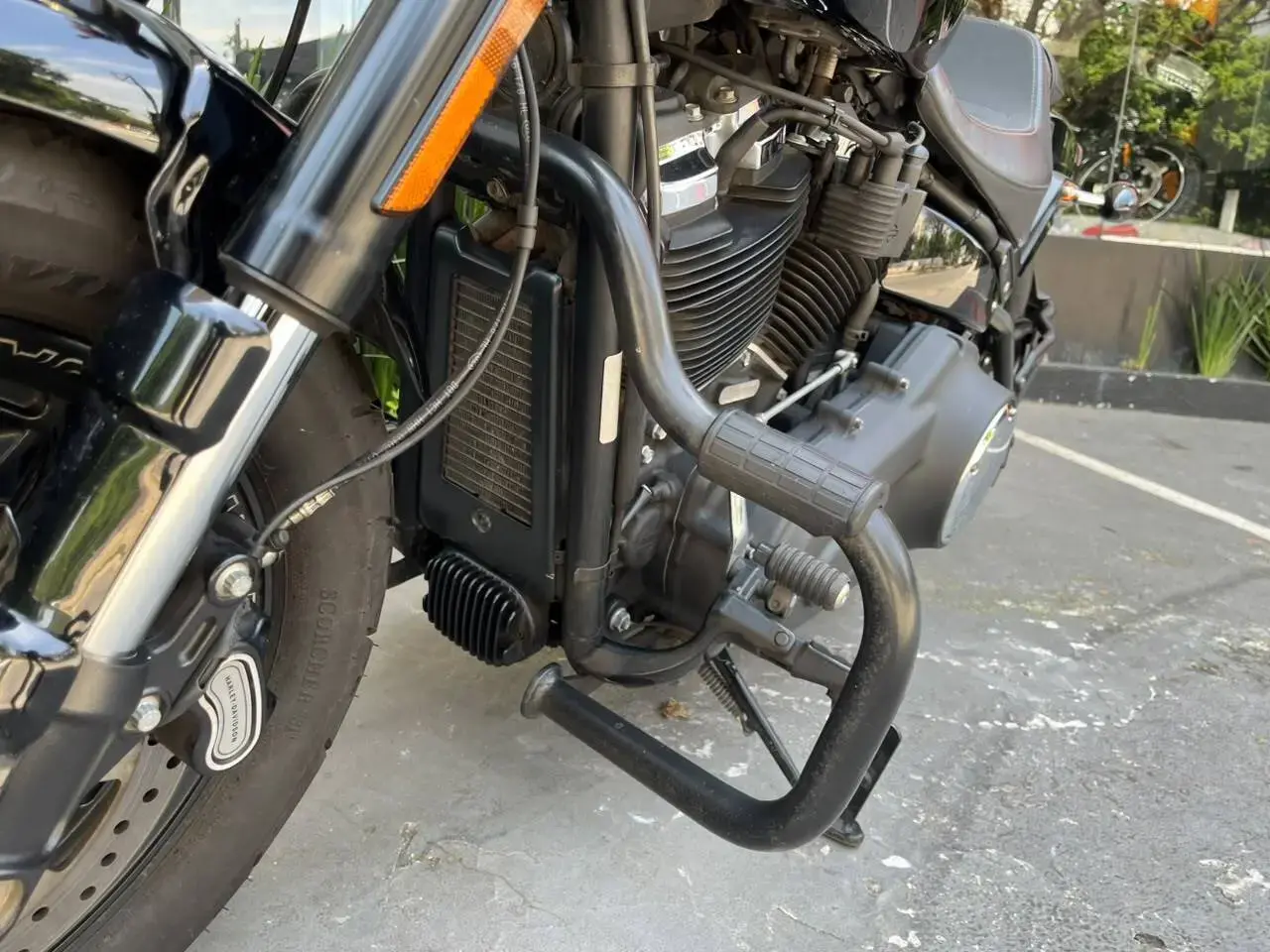 galeria FAT BOB FXFB