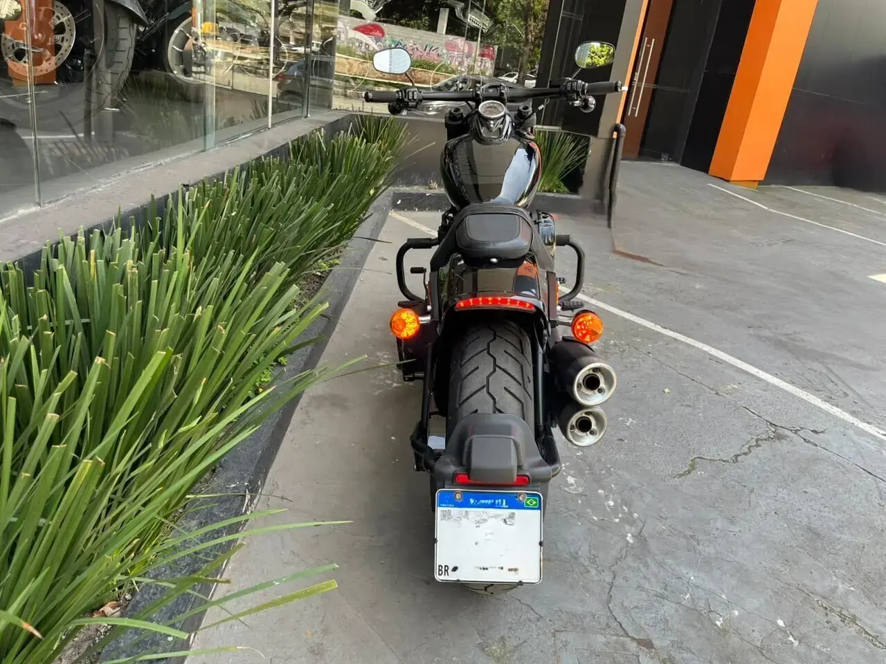 galeria FAT BOB FXFB
