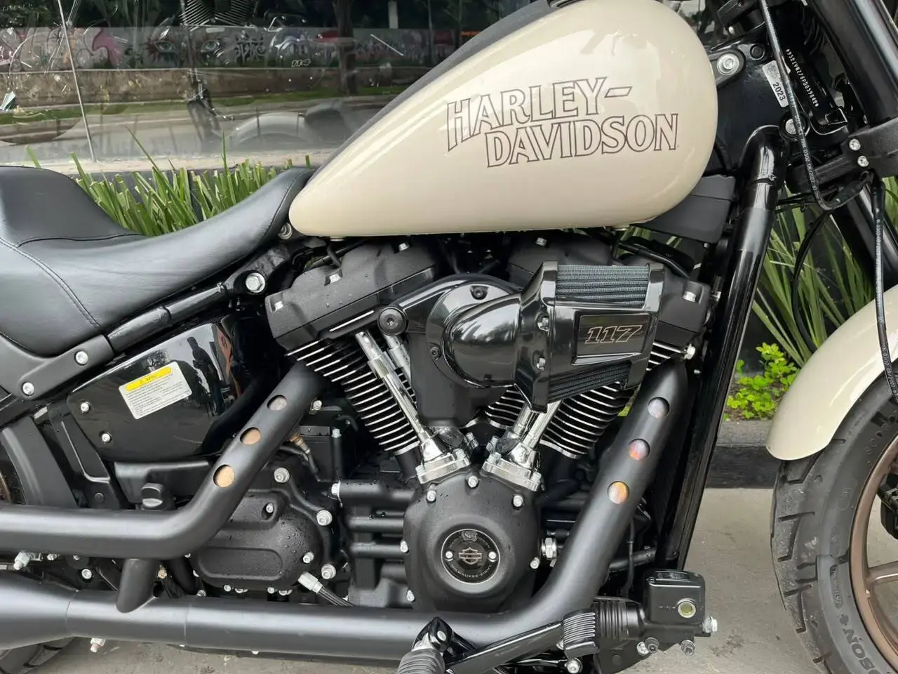 galeria Low Rider