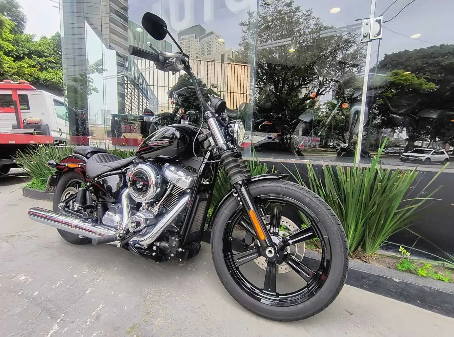 galeria Street Bob