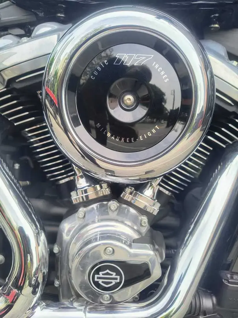 galeria Street Bob