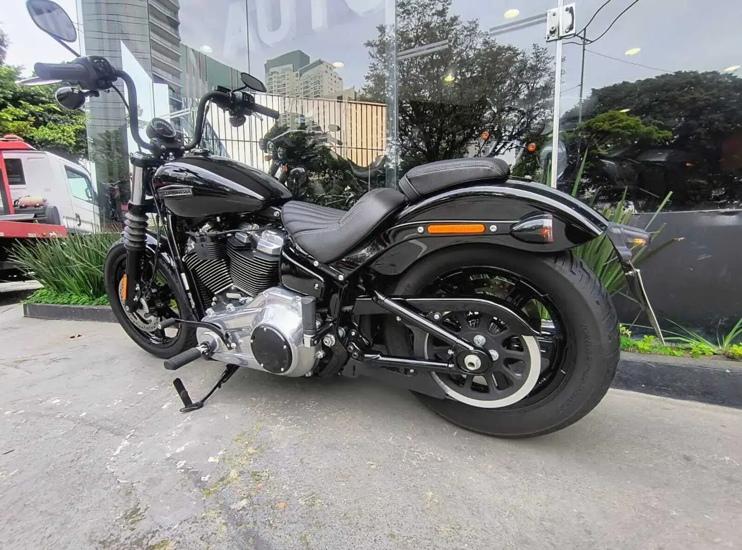 galeria Street Bob