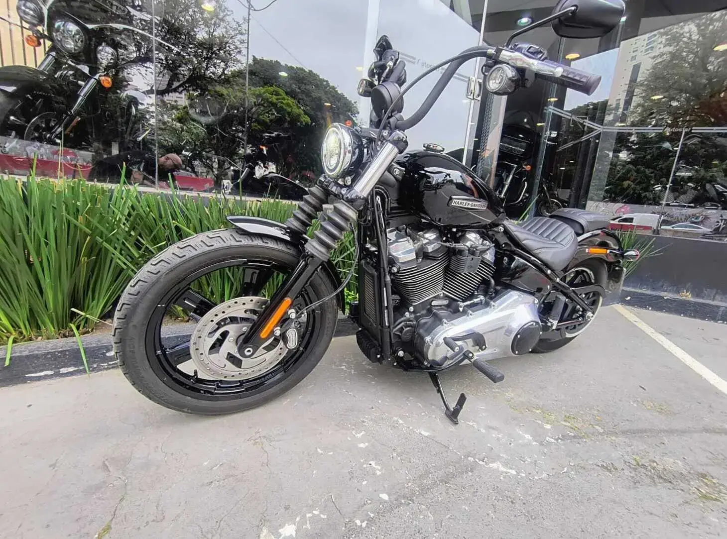 galeria Street Bob