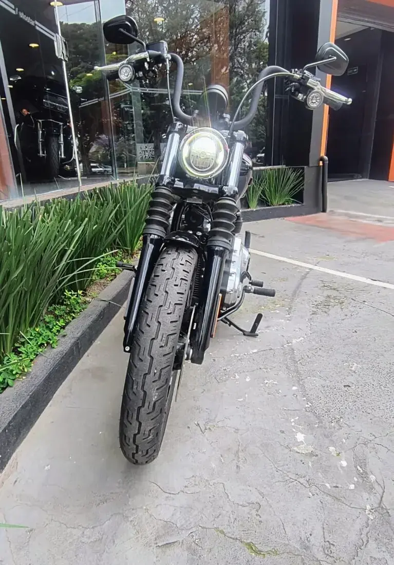 galeria Street Bob
