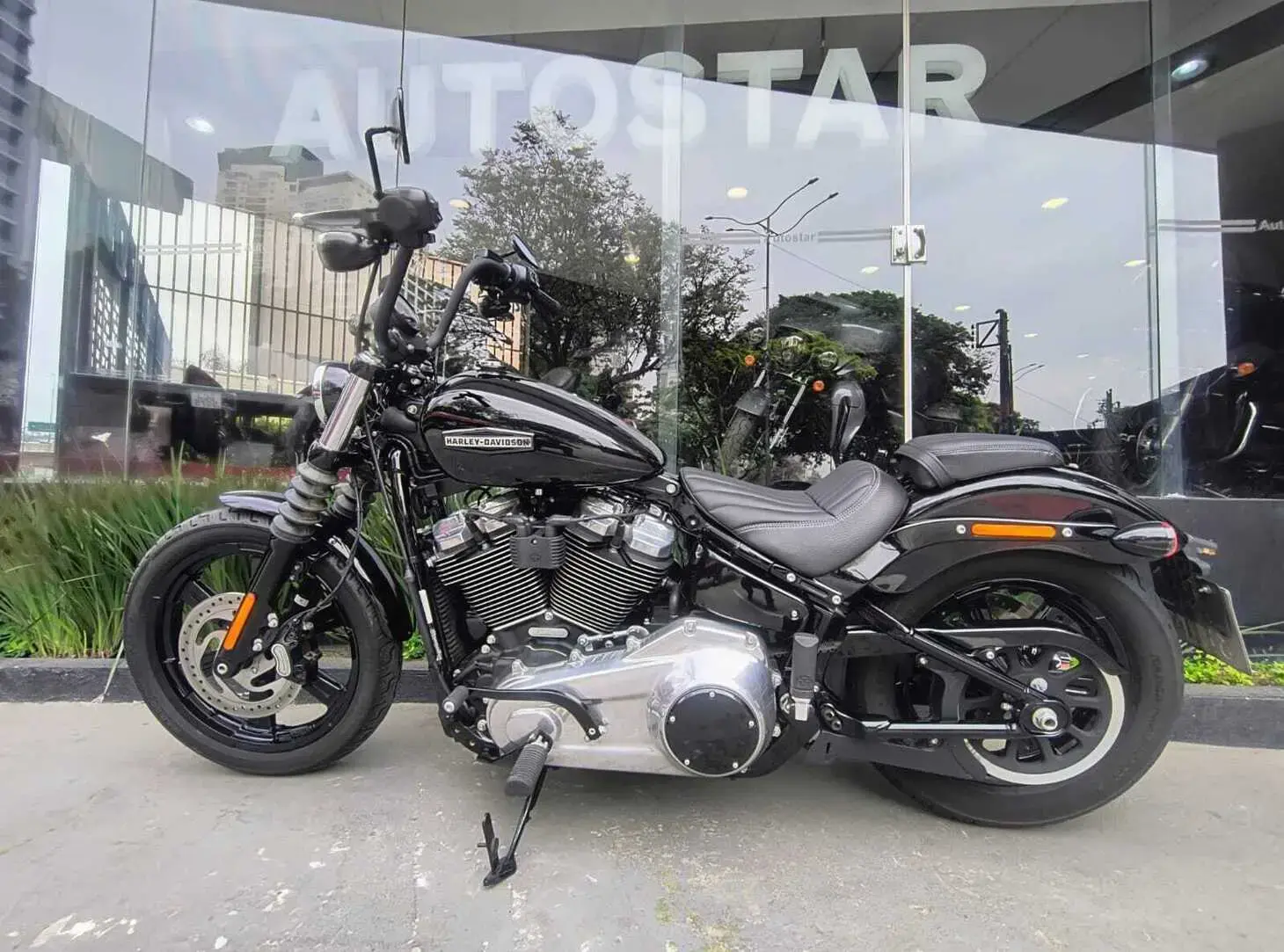 galeria Street Bob