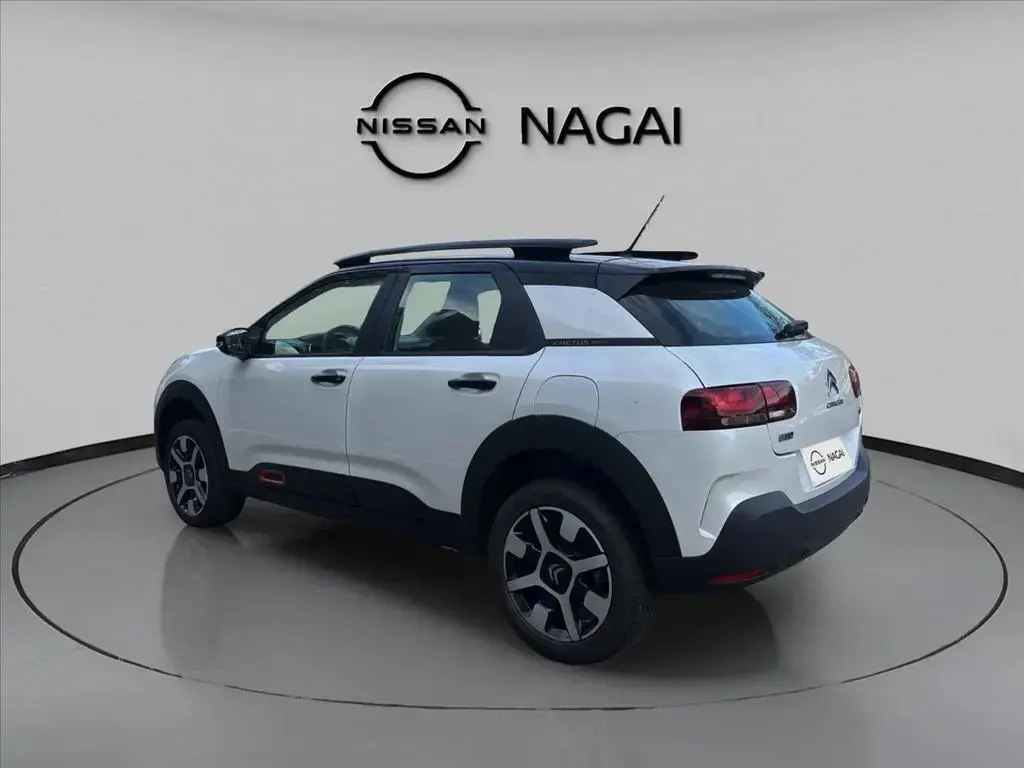 galeria C4 CACTUS