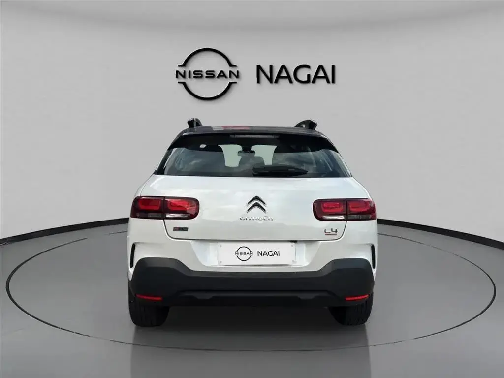 galeria C4 CACTUS