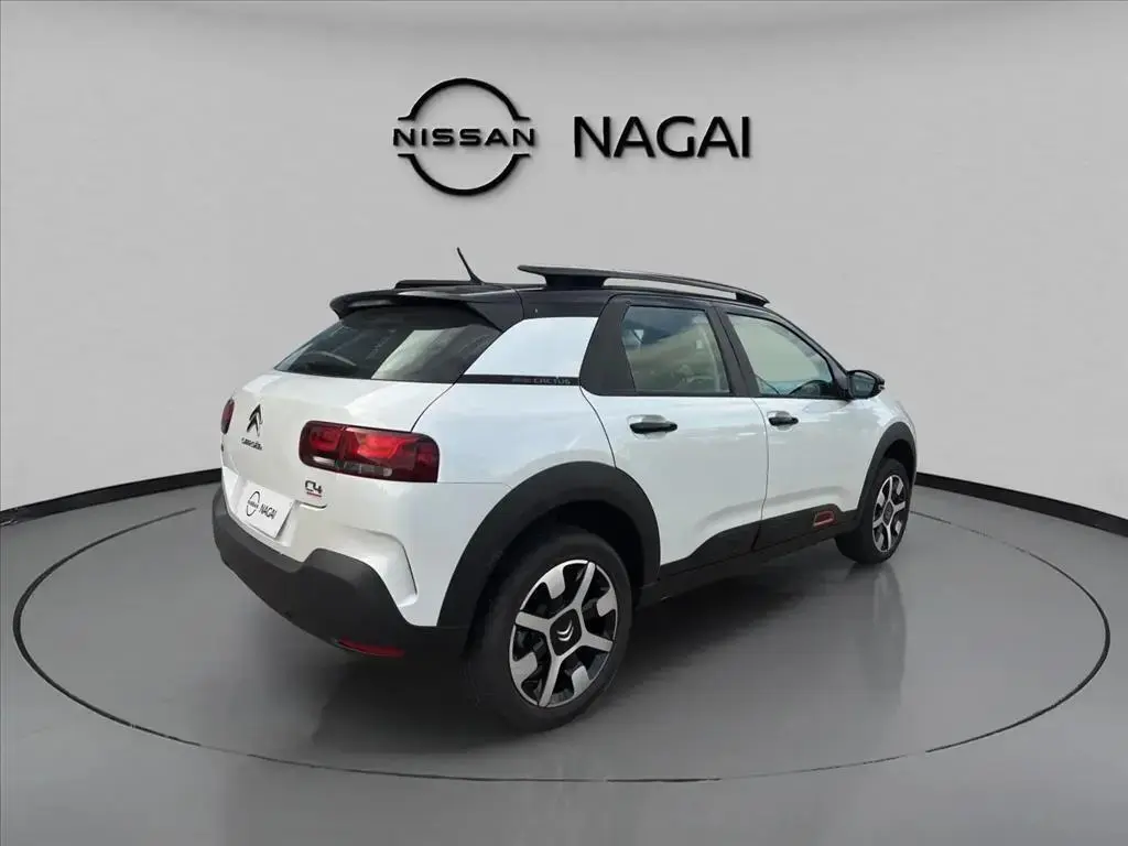 galeria C4 CACTUS
