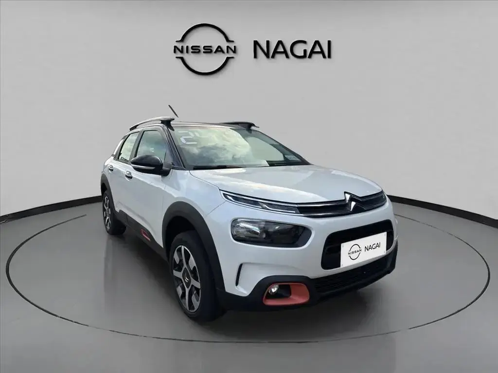 galeria C4 CACTUS