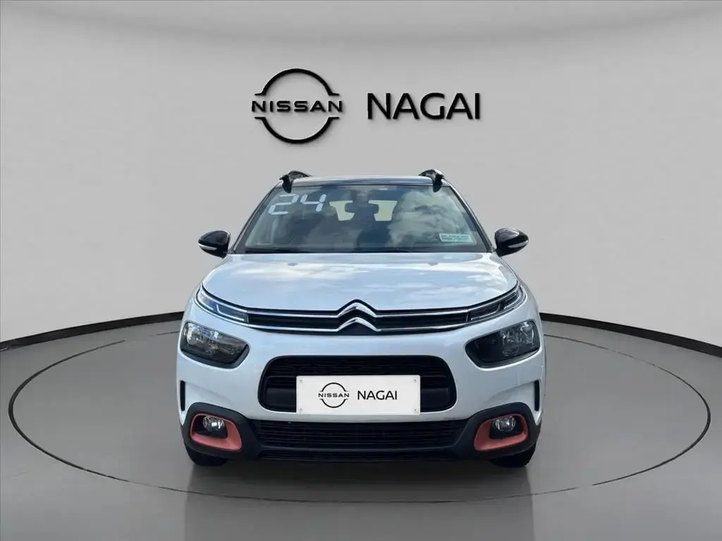 galeria C4 CACTUS