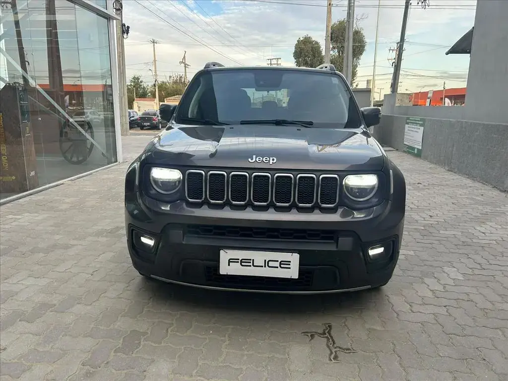 galeria RENEGADE