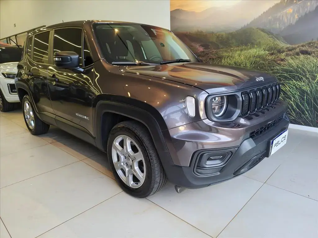 galeria RENEGADE